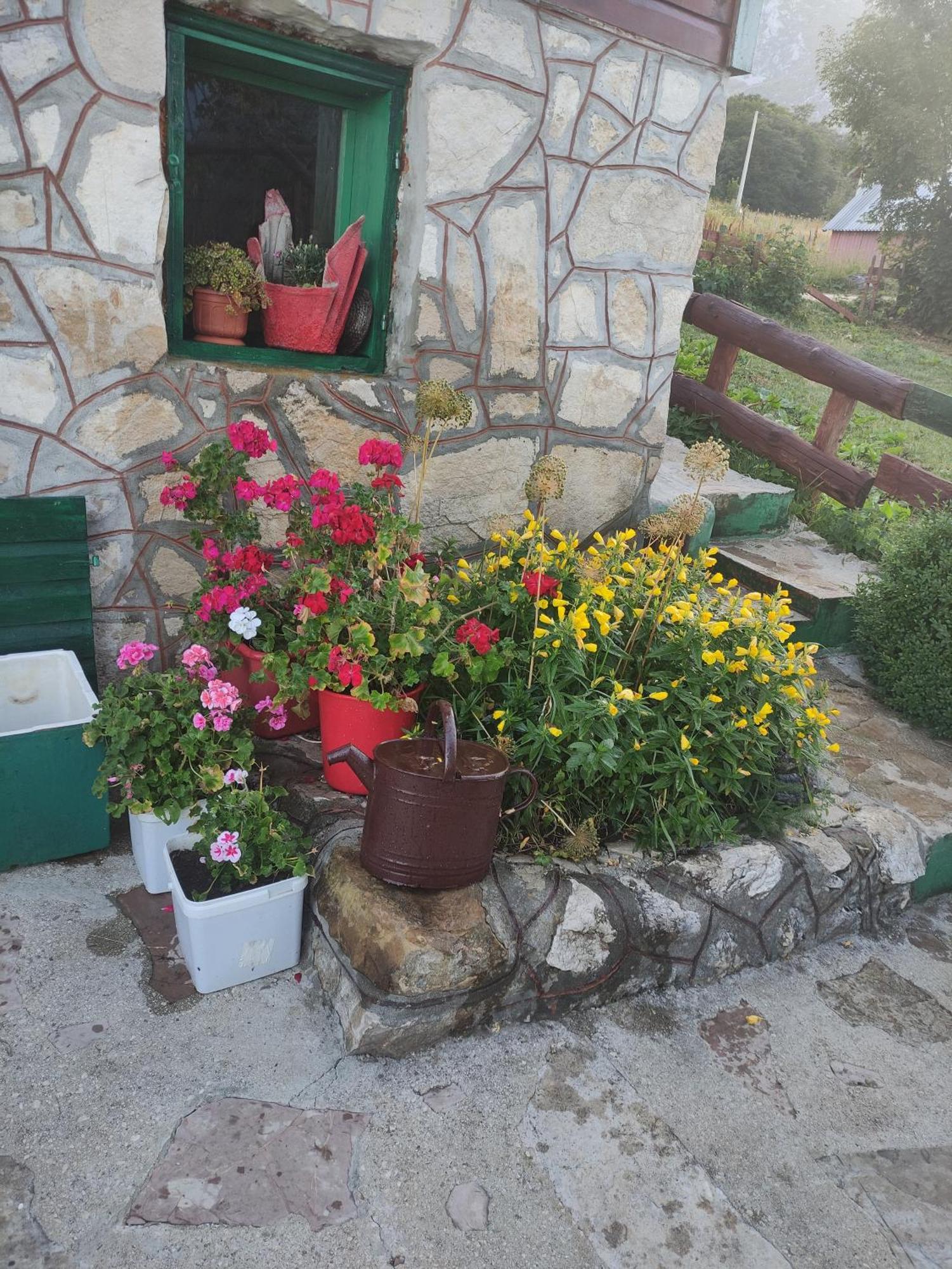 Durmitorska Koliba Sa Kupatilom Villa Žabljak Værelse billede